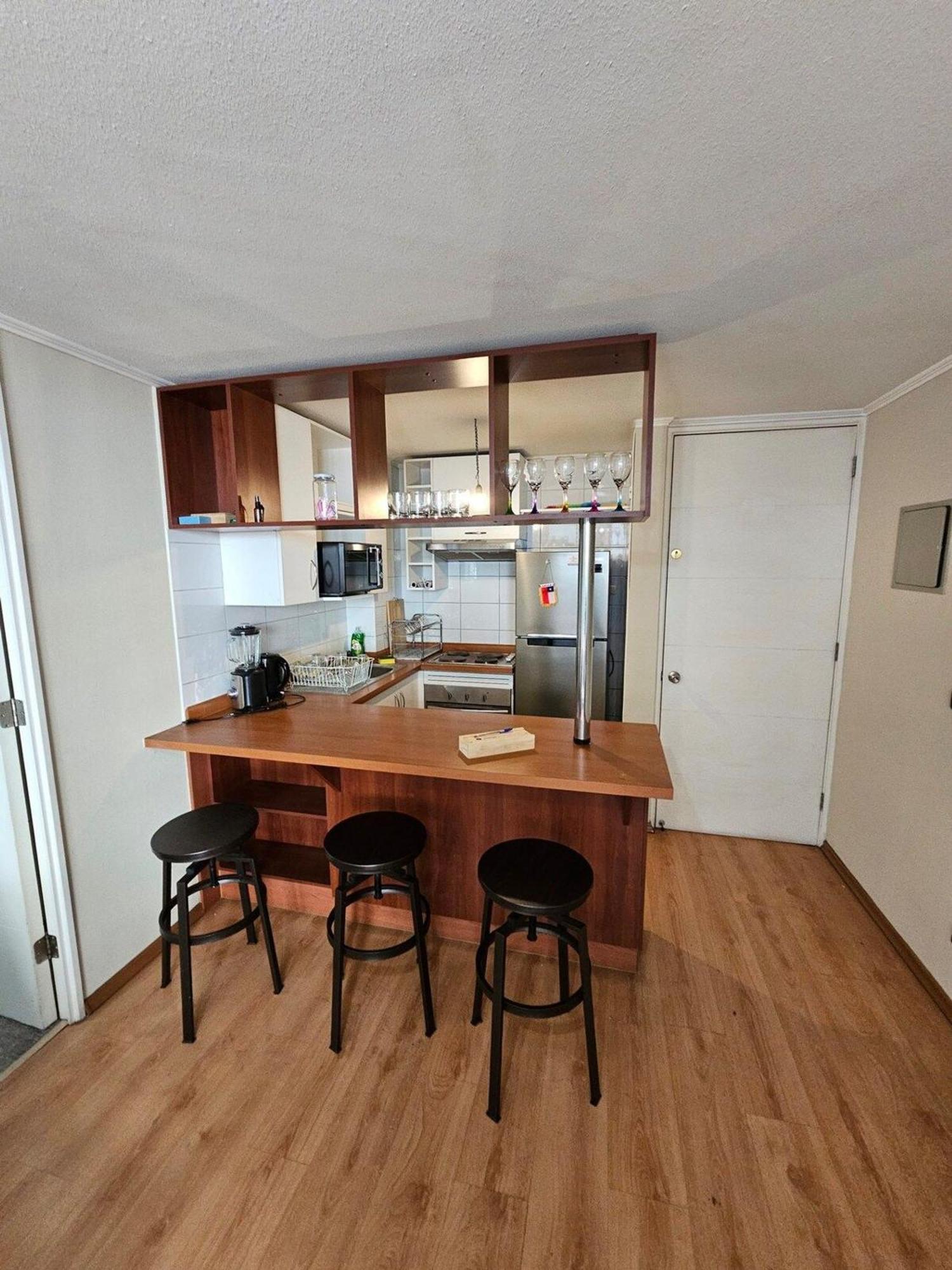 Bellavista Apartrent Santiago Kültér fotó