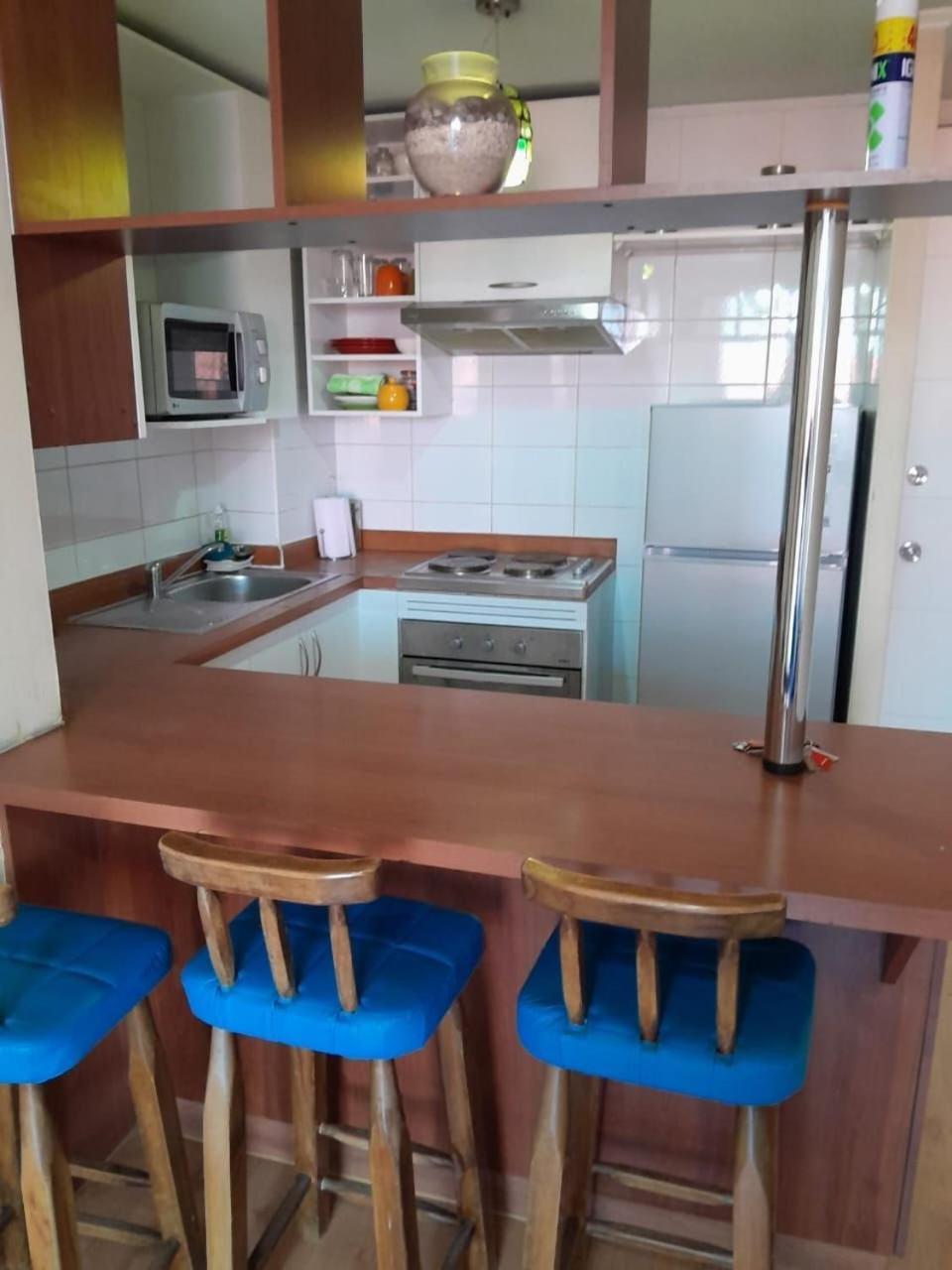 Bellavista Apartrent Santiago Kültér fotó